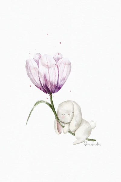 Sleeping Crocus by Sanna Sjöström canvas print