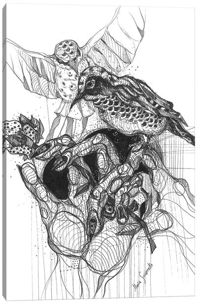 Black Bird And Graphics Canvas Art Print - Maria Susarenko
