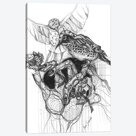 Black Bird And Graphics Canvas Print #SSR105} by Maria Susarenko Canvas Wall Art