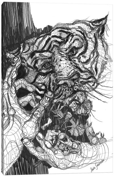 Tiger Drawing And Graphics Canvas Art Print - Maria Susarenko