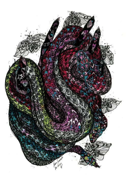 Pink Snake by Maria Susarenko wall art