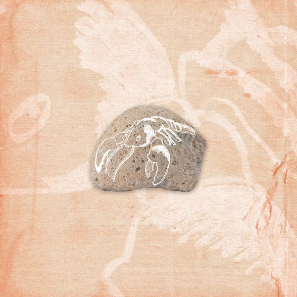 Lobsters: A Day On The Sea by 5by5collective