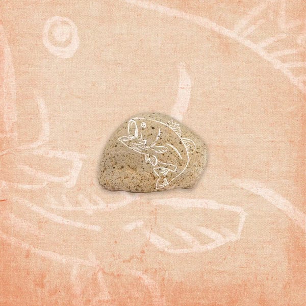 Bass: Black Sea Bass by 5by5collective