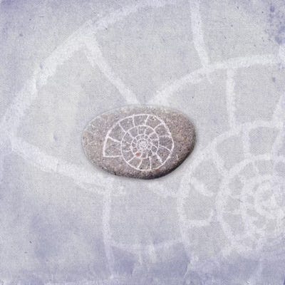 On The Shore by 5by5collective canvas print