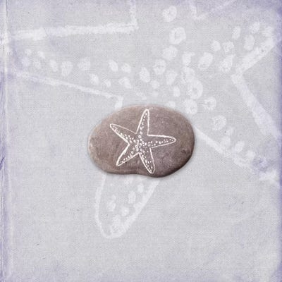 Star Of The Sea by 5by5collective canvas print