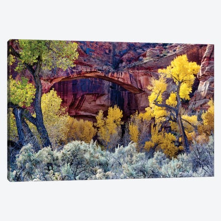 Autumn Foliage Below Escalante Natural Bridge, Grand Staircase-Escalante National Monument, Utah, USA Canvas Print #SST6} by Scott T. Smith Art Print