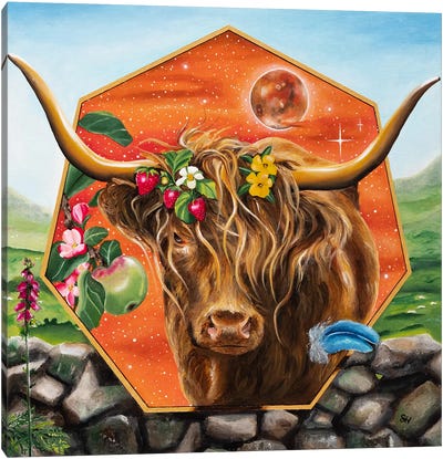 Venus Rising Canvas Art Print - Highland Cow Art