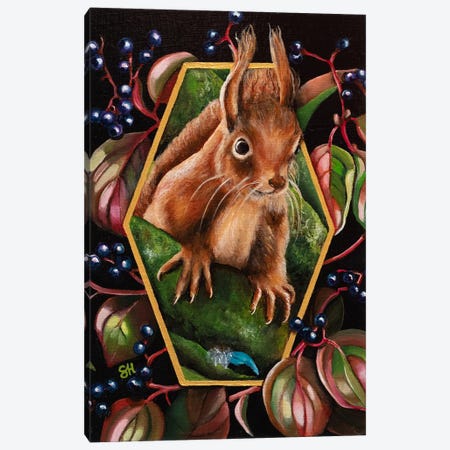Red Squirrel Canvas Print #SSV18} by Saskia Huitema Canvas Art Print
