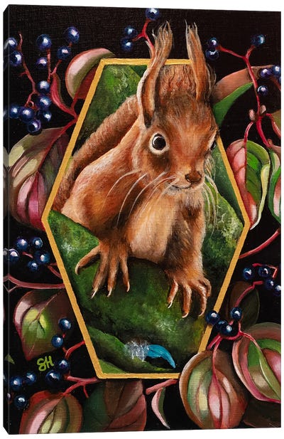 Red Squirrel Canvas Art Print - Squirrel Art