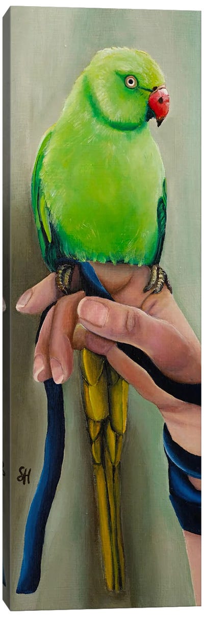 The Bird Canvas Art Print - Parakeet Art