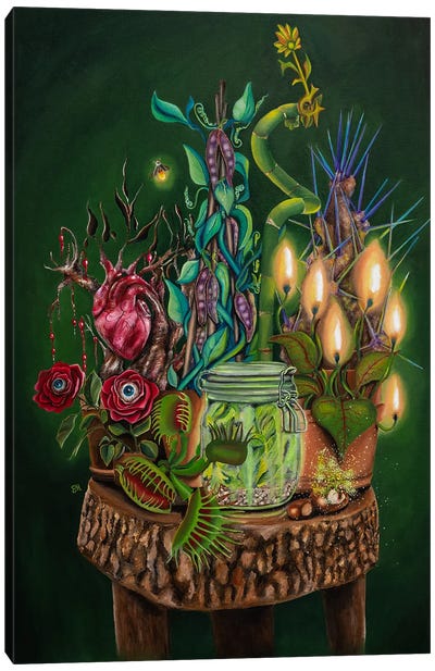 Magical Plants Canvas Art Print - Self-Taught Women Artists