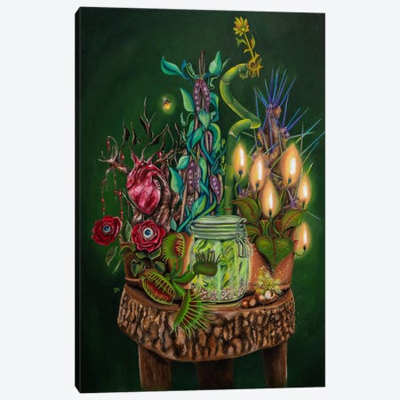 Magical Plants Canvas Print #SSV8} by Saskia Huitema Canvas Wall Art