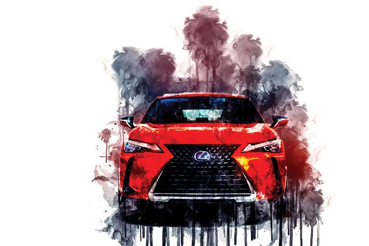 Car 2019 Lexus UX 250h by Sissy Angelastro wall art