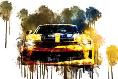 Car 2017 Chevrolet Camaro Performance by Sissy Angelastro framed canvas print