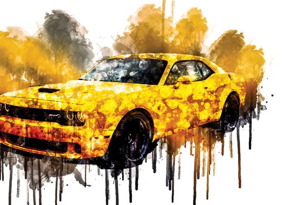 Dodge: Car 2018 Dodge Challenger SRT Hellcat Widebody by Sissy Angelastro