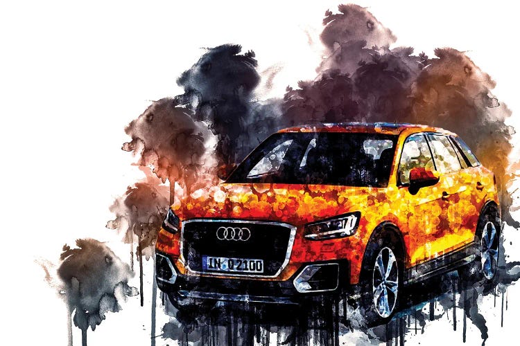 Car 2017 Audi Q2 TFSI Quattro by Sissy Angelastro wall art