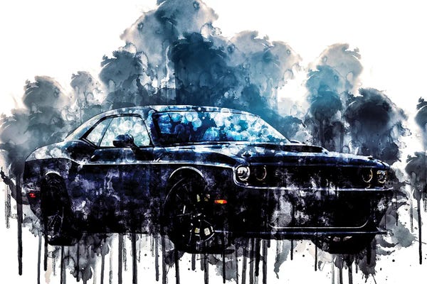 Dodge: 2017 Dodge Challenger TA by Sissy Angelastro