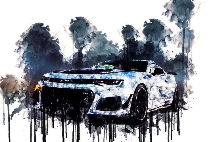 2018 Chevrolet Camaro ZL1 1LE by Sissy Angelastro wall art