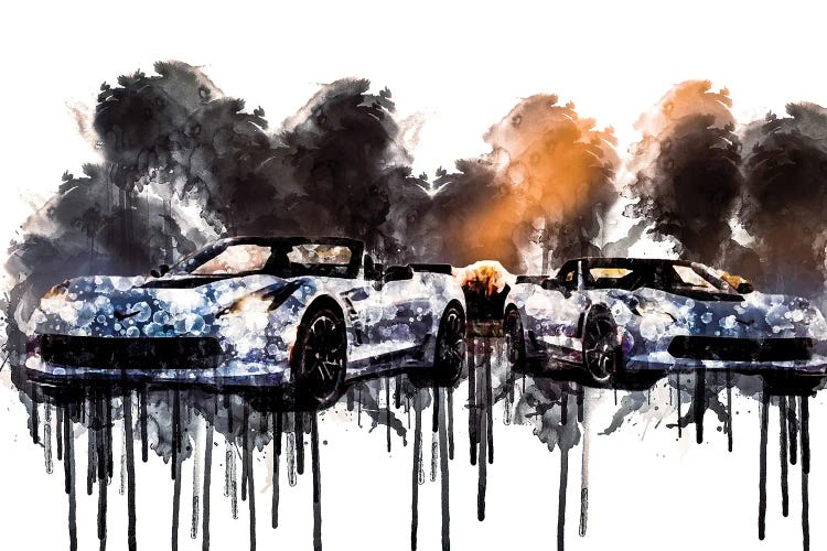 2018 Chevrolet Corvette Carbon 65 Edition by Sissy Angelastro wall art