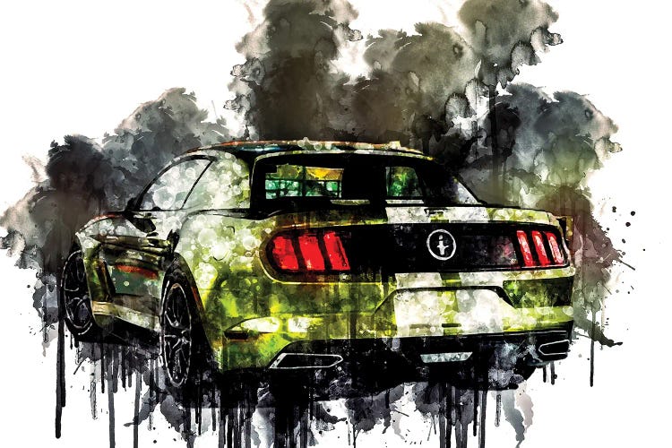 2017 Ford Mustang NotchBack Design Vehicle LXXX by Sissy Angelastro wall art