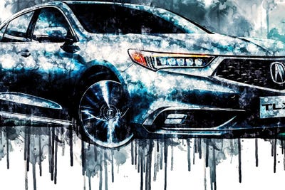 2018 Acura TLX Vehicle CCCXXXIII by Sissy Angelastro canvas print