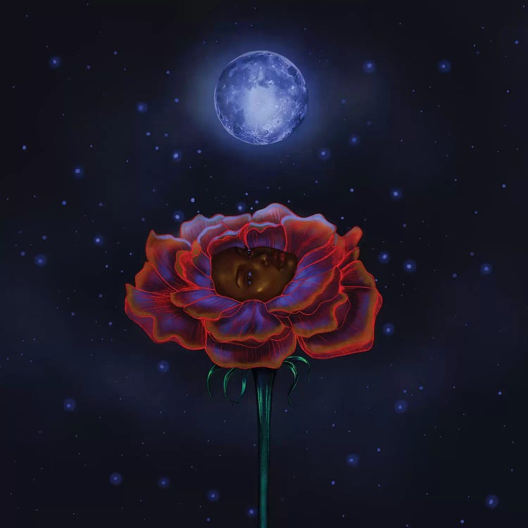 Rose Under Moonlight