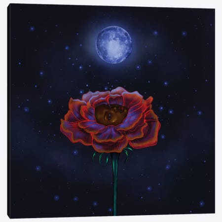 Rose Under Moonlight Canvas Print #SSZ43} by Stephanie Sanchez Canvas Art