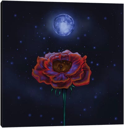 Rose Under Moonlight Canvas Art Print - Stephanie Sanchez