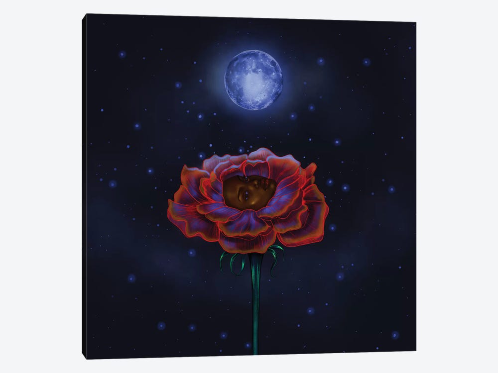 Rose Under Moonlight by Stephanie Sanchez 1-piece Canvas Art