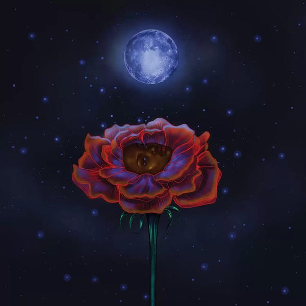 Stephanie Sanchez: Rose Under Moonlight by Stephanie Sanchez