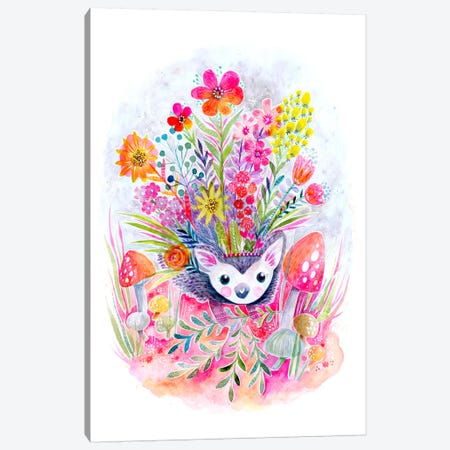 Hedgehog Canvas Print #STC121} by Stephanie Corfee Canvas Print
