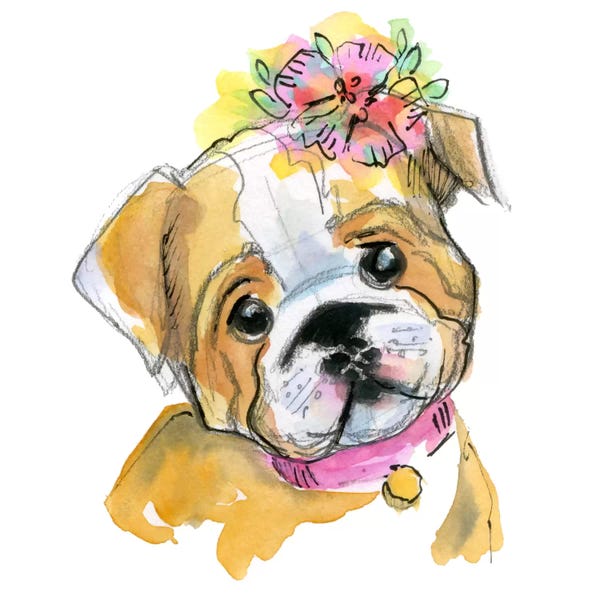 Stephanie Corfee: Puppy With Flower by Stephanie Corfee