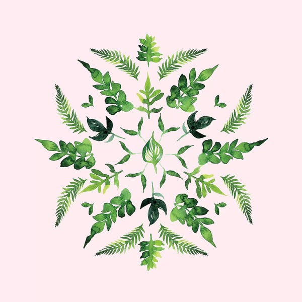 Stephanie Corfee: Botanical Mandala by Stephanie Corfee