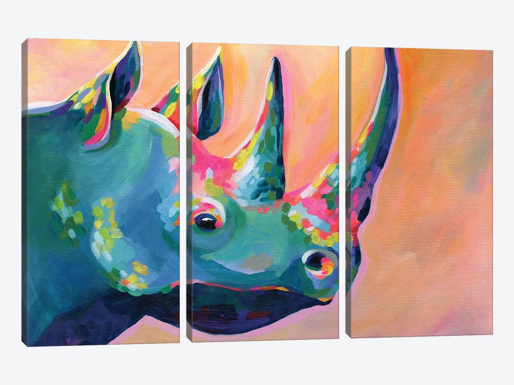 Rainbow Rhino Coral by Stephanie Corfee 3-piece Canvas Artwork