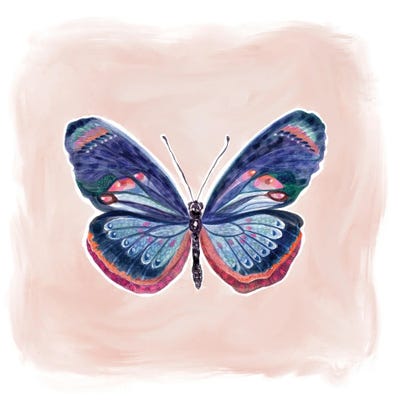 Bluesy Butterfly by Stephanie Corfee art print