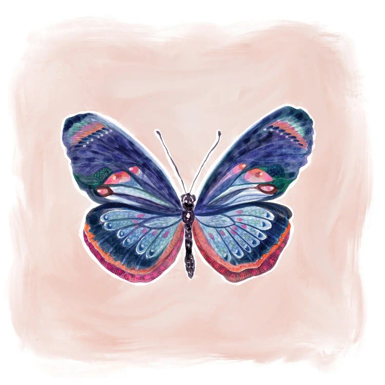 Bluesy Butterfly