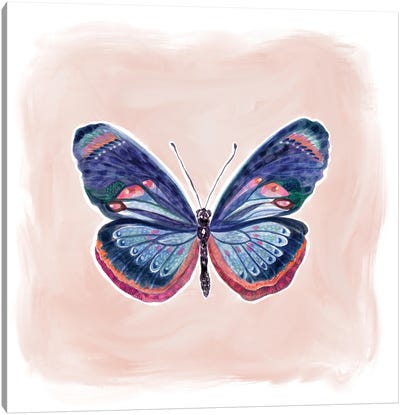 Bluesy Butterfly Canvas Art Print - Stephanie Corfee