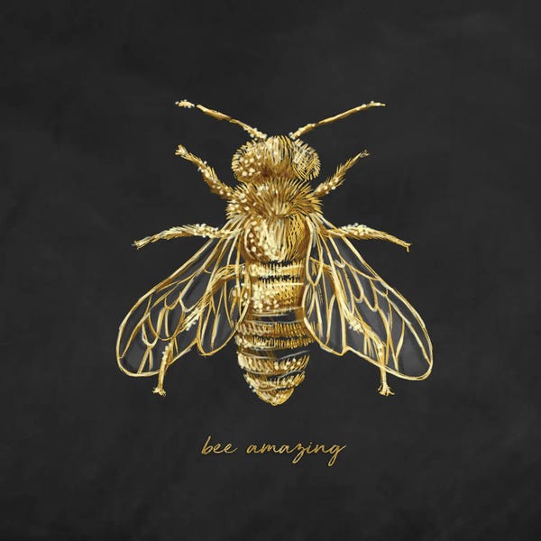 Bees: Bee Amazing by Stephanie Corfee