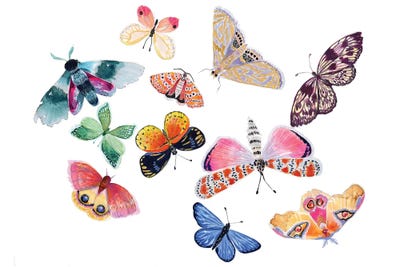Butterfly Scatter I by Stephanie Corfee art print