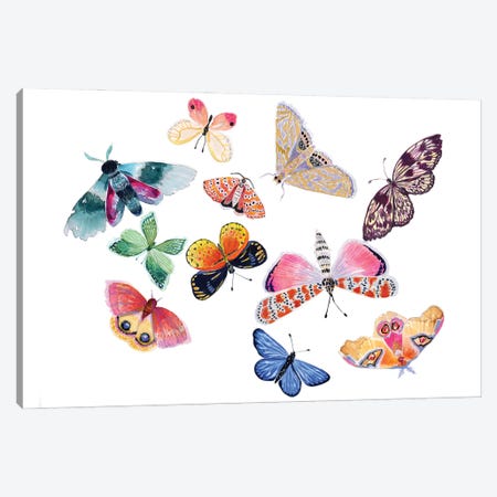 Butterfly Scatter I Canvas Print #STC206} by Stephanie Corfee Art Print