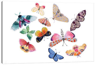 Butterfly Scatter I Canvas Art Print - Stephanie Corfee