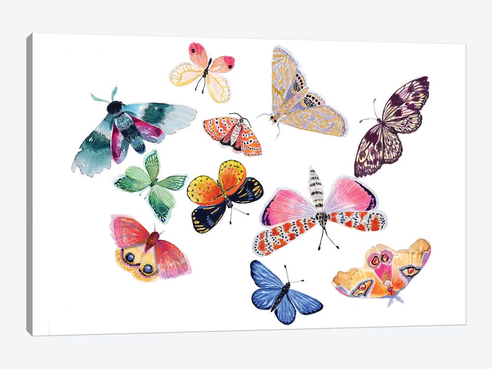 Butterfly Scatter I 1-piece Canvas Wall Art