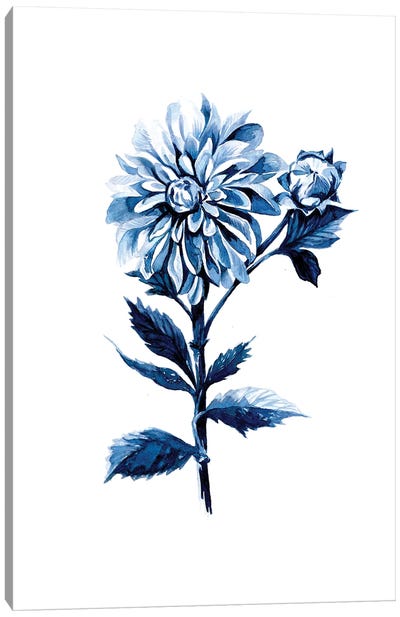 Indigo Dahlia Canvas Art Print - Minimalist Flowers
