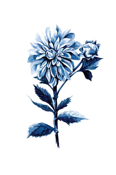 Flowers: Indigo Dahlia by Stephanie Corfee