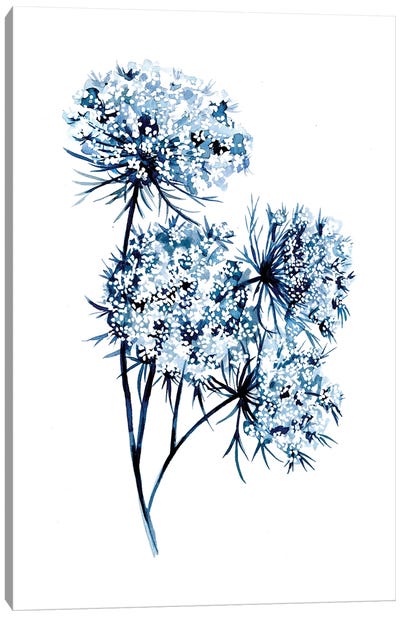 Indigo Queen Anne's Lace Canvas Art Print - Minimalist Flowers