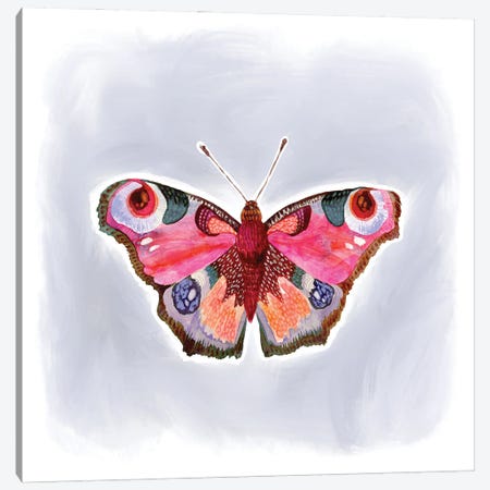 Moody Butterfly Canvas Print #STC214} by Stephanie Corfee Canvas Artwork