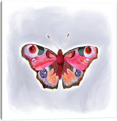 Moody Butterfly Canvas Art Print - Stephanie Corfee
