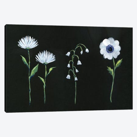 White Blooms On Black Canvas Print #STC216} by Stephanie Corfee Canvas Artwork