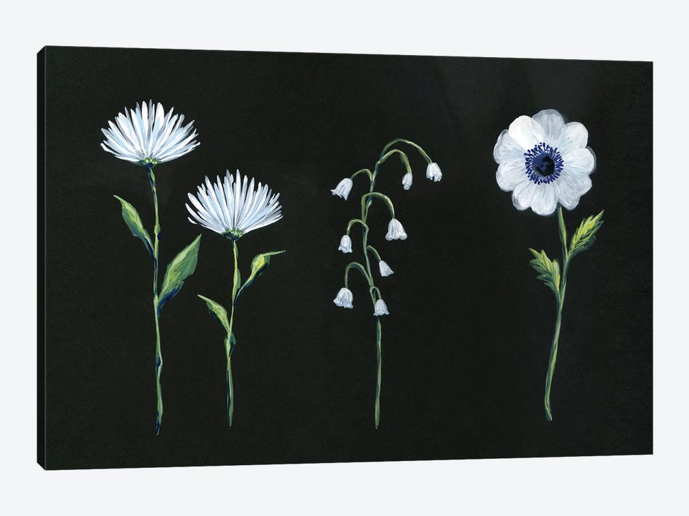 White Blooms On Black by Stephanie Corfee 1-piece Canvas Print