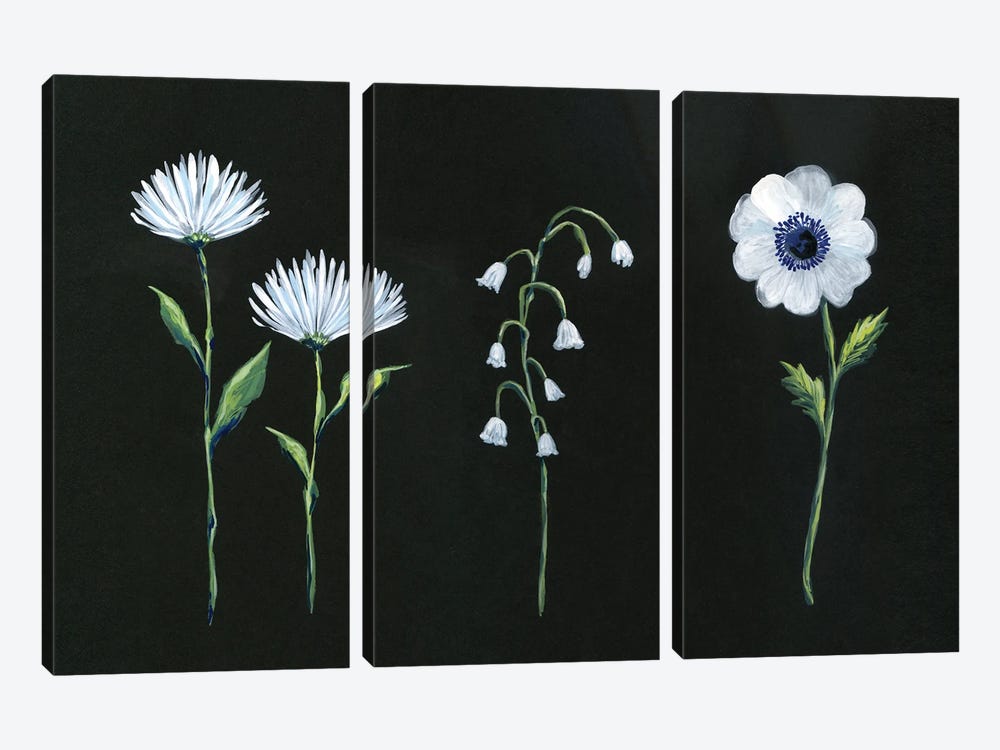 White Blooms On Black by Stephanie Corfee 3-piece Art Print